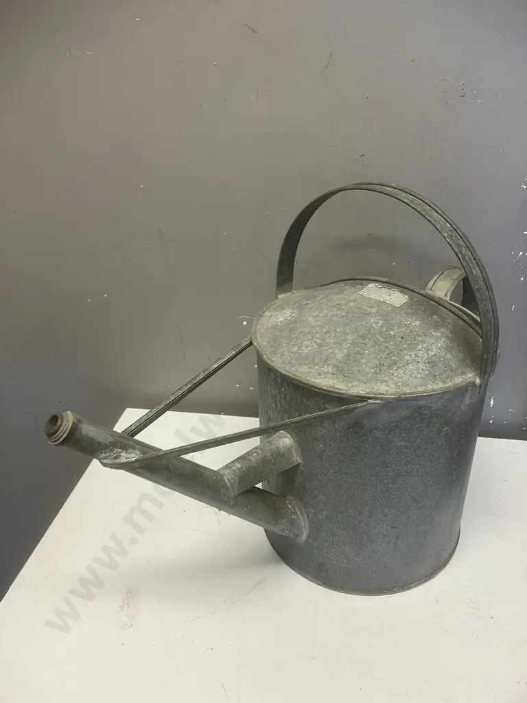 Fireside Companion Set & Steel Watering Can (No Head) Image 1++