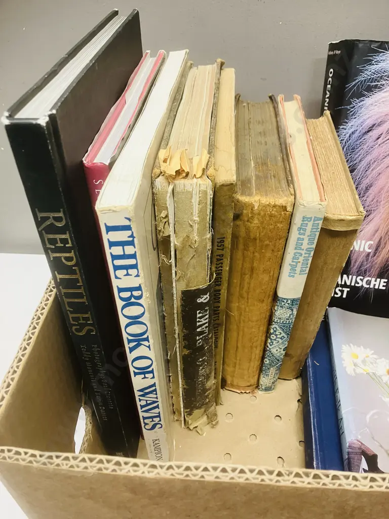 Box Lot Books - Oceanic Art, Antique Rugs, Dancer Amongst Us Etc Image 1++