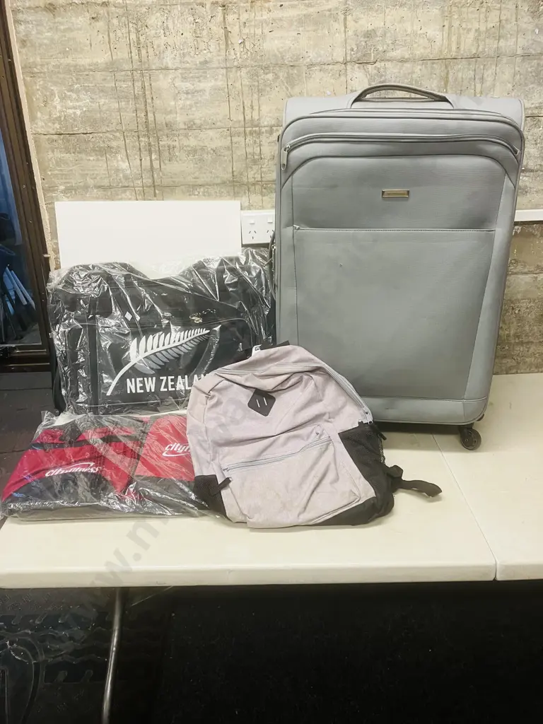 San Michelle Suitcase With Three Other Bags Image 1++