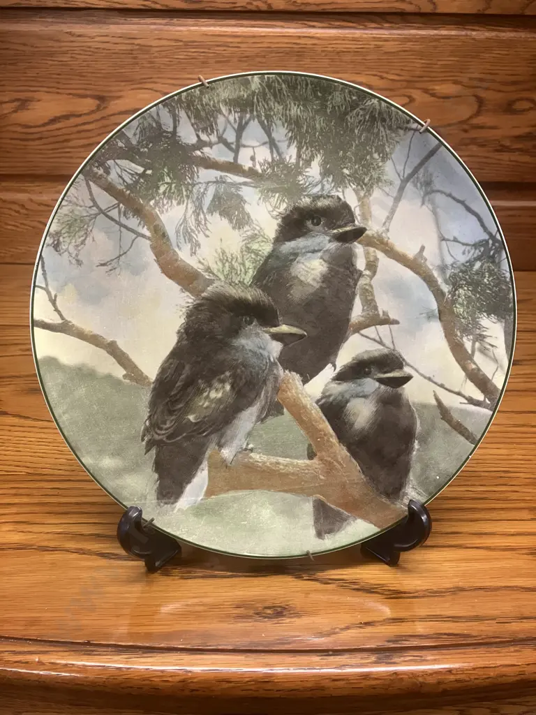 Royal Doulton Australian Views Plate 'Young Kookaburras' D6426 (1953 - 1975) Image 1++