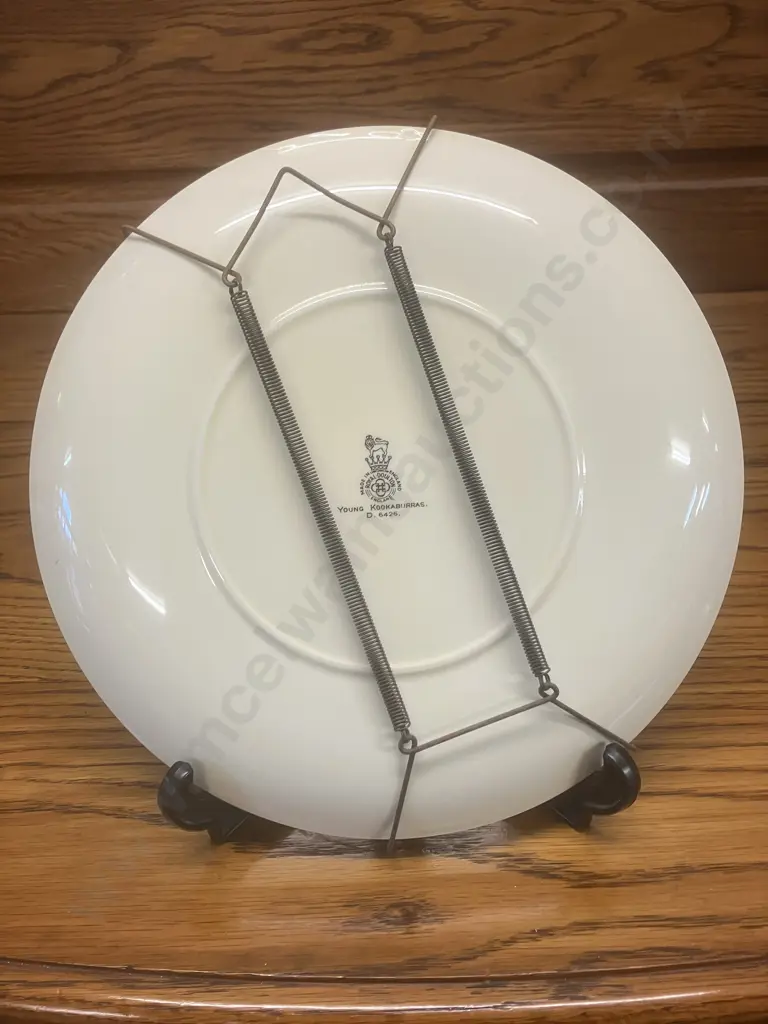 Royal Doulton Australian Views Plate 'Young Kookaburras' D6426 (1953 - 1975) Image 1++