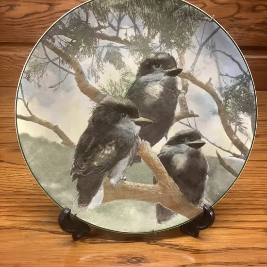 Royal Doulton Australian Views Plate 'Young Kookaburras' D6426 (1953 - 1975)
