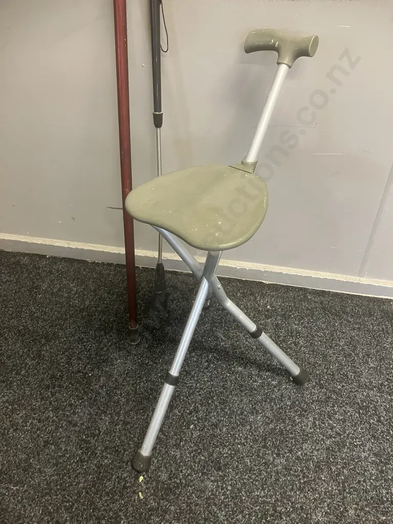 Walking Stick With Seat, 86cm Walking Stick, Shoe Horn Image 1++