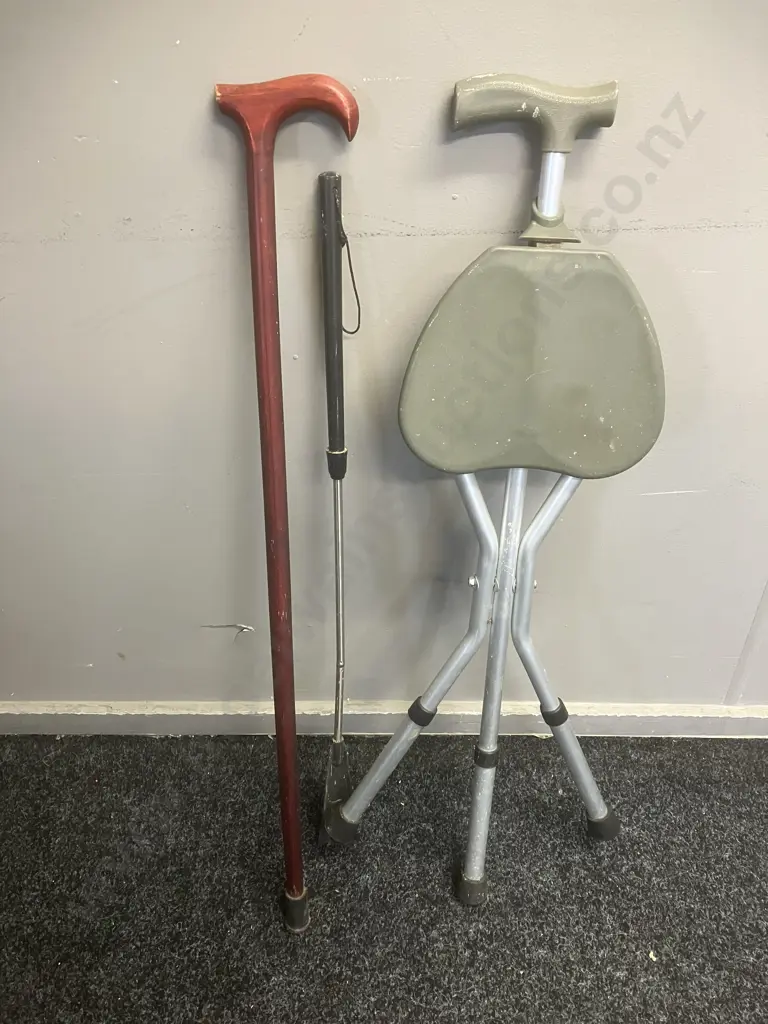 Walking Stick With Seat, 86cm Walking Stick, Shoe Horn Image 1++