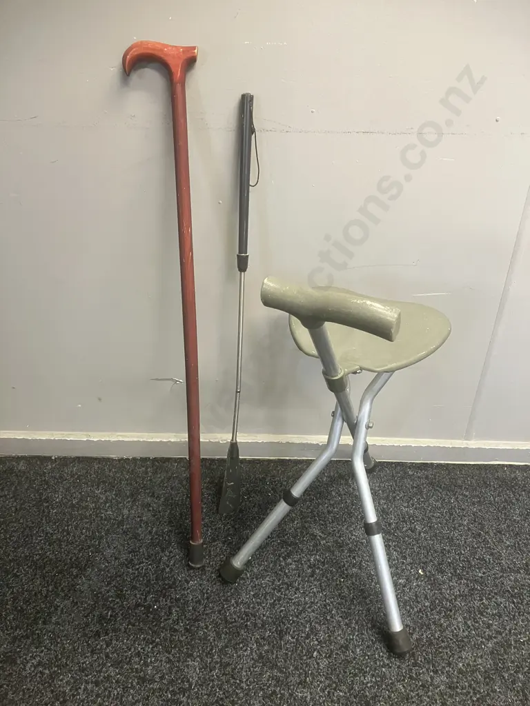 Walking Stick With Seat, 86cm Walking Stick, Shoe Horn Image 1++