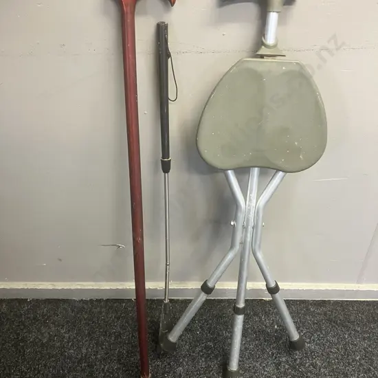 Walking Stick With Seat, 86cm Walking Stick, Shoe Horn