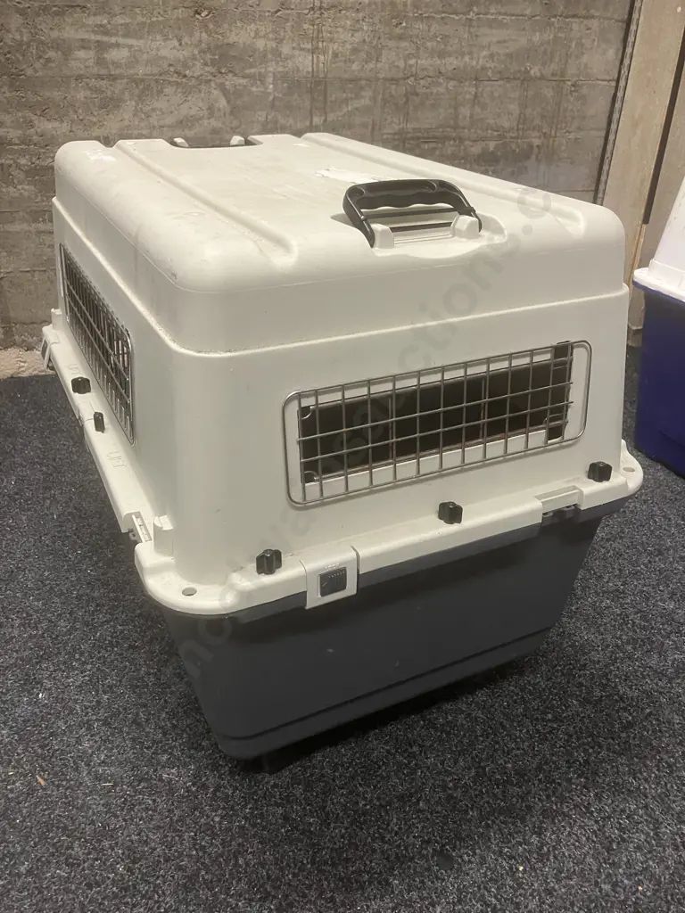 Pet / Airline Travel Crate with Removable Wheels. H63 W53 D79cm Image 1++