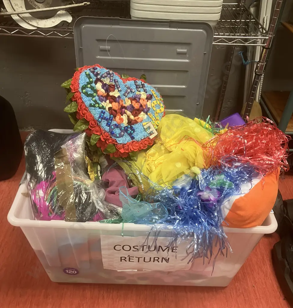 Large Clear Bin Of Assorted Dress Ups Etc Image 1++