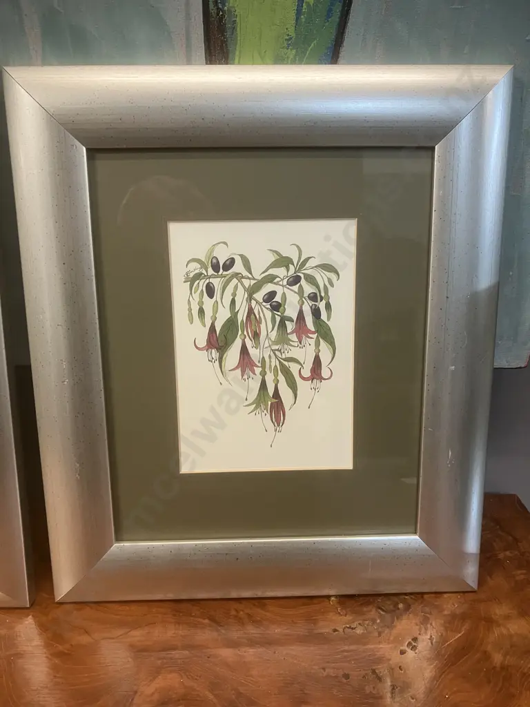 Jo Ewing New Zealand Fuchsia & Pohutukawa Flower Framed Prints. 32 x 28cm Image 1++