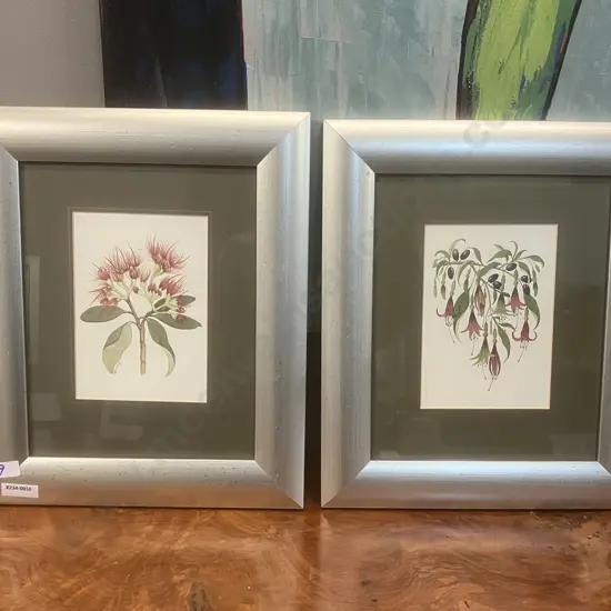 Jo Ewing New Zealand Fuchsia & Pohutukawa Flower Framed Prints. 32 x 28cm