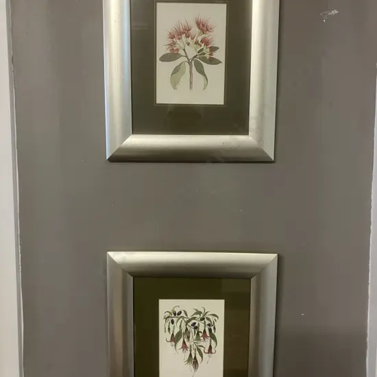 Jo Ewing New Zealand Fuchsia & Pohutukawa Flower Framed Prints. 32 x 28cm