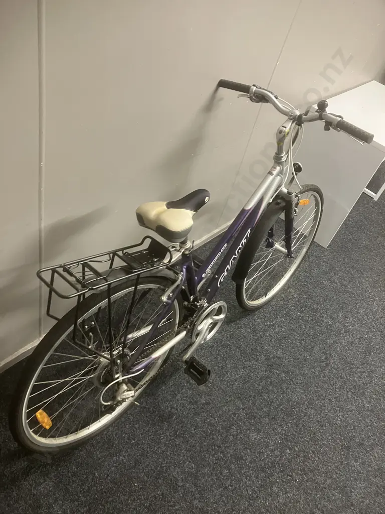 GIANT Elwood SE Ladies Bike, 17" Frame Image 1++
