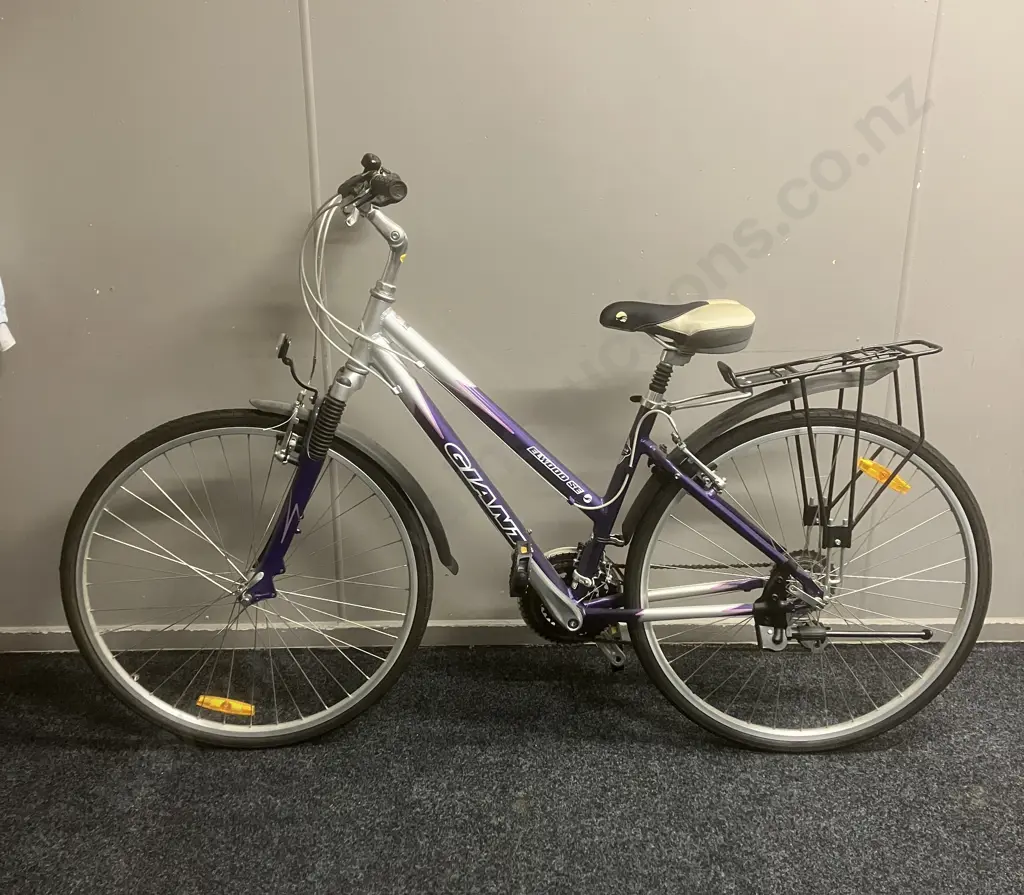 GIANT Elwood SE Ladies Bike, 17" Frame Image 1++
