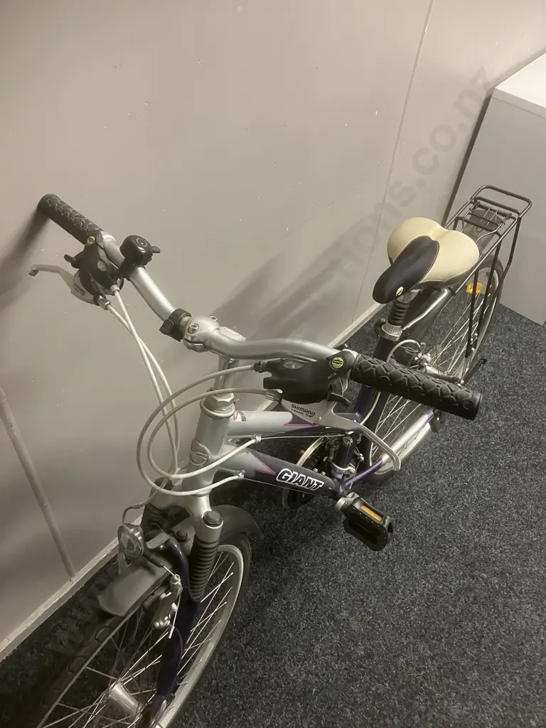 GIANT Elwood SE Ladies Bike, 17" Frame Image 1++