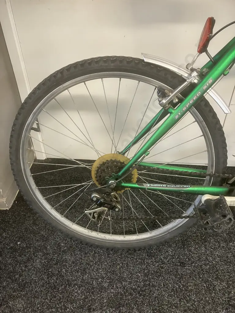 Repco Resolution Green Bike Image 1++