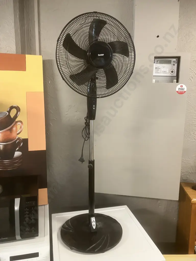 Goldair PF0511 Black Pedestal Fan With Remote Control Image 1++