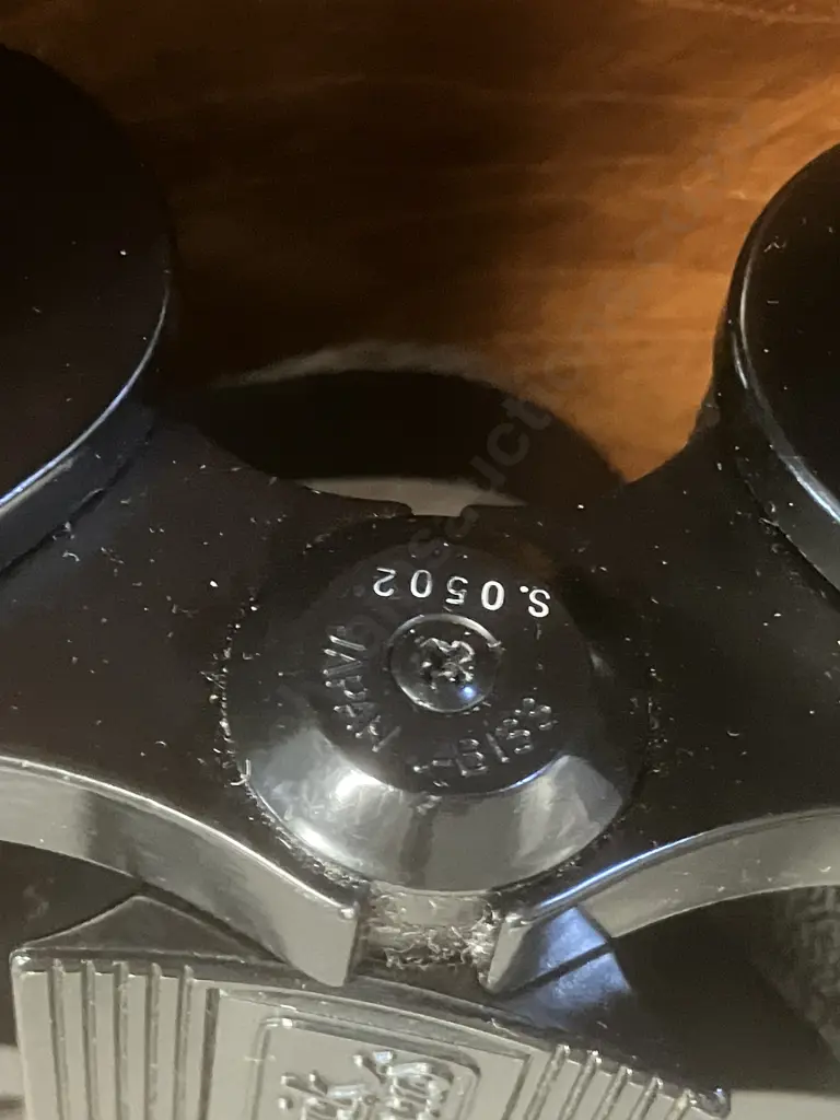 Vintage Ross Binoculars (Japan B133 Optics) 10x50 Wide Angle (122m at 1000m) Quick Focus, With Case Image 1++