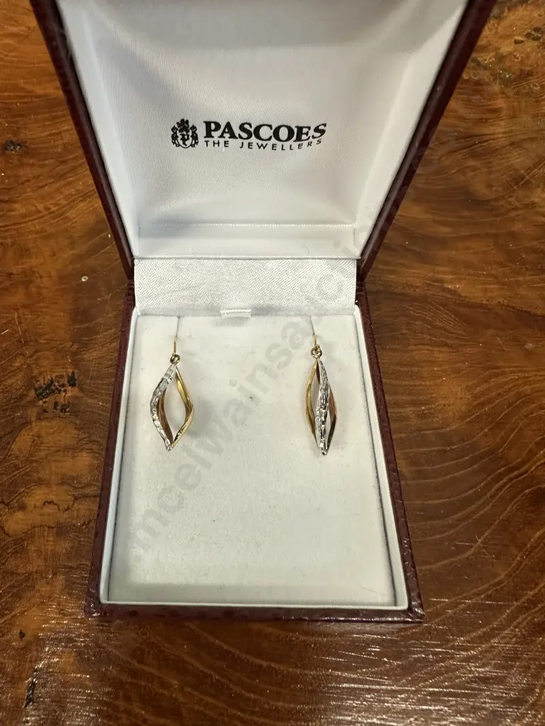 Pair Of Pascos 9 Ct 2 Tone Pointed Drop Earings Image 1++