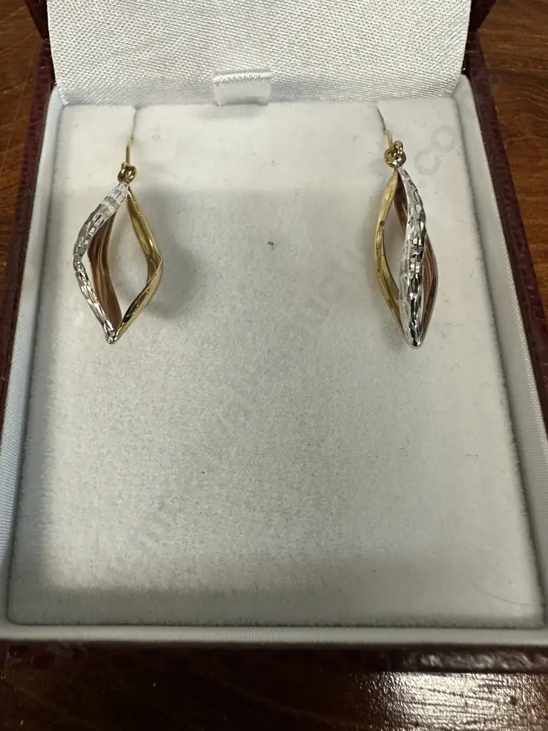 Pair Of Pascos 9 Ct 2 Tone Pointed Drop Earings Image 1++