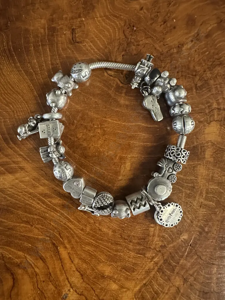 Silver Pandora Bracelet & Assorted Charms Including 925 Image 1++