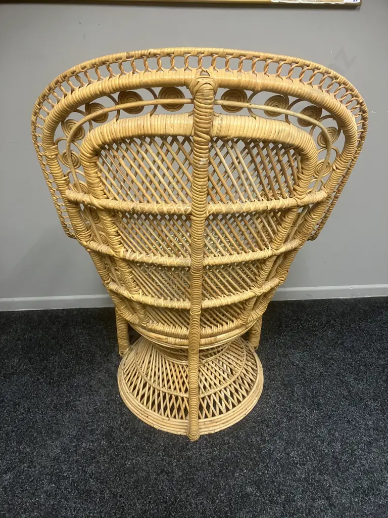 Vintage Wicker & Cane Peacock Chair Image 1++