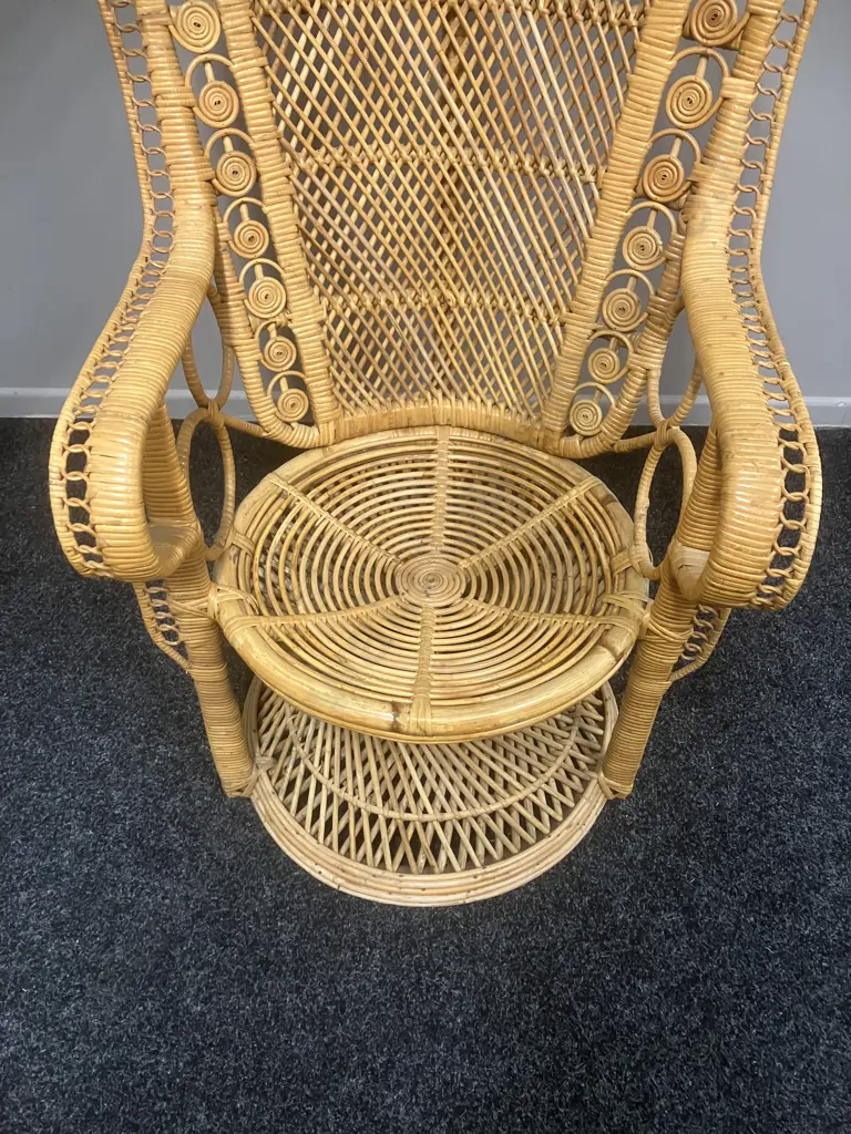 Vintage Wicker & Cane Peacock Chair Image 1++