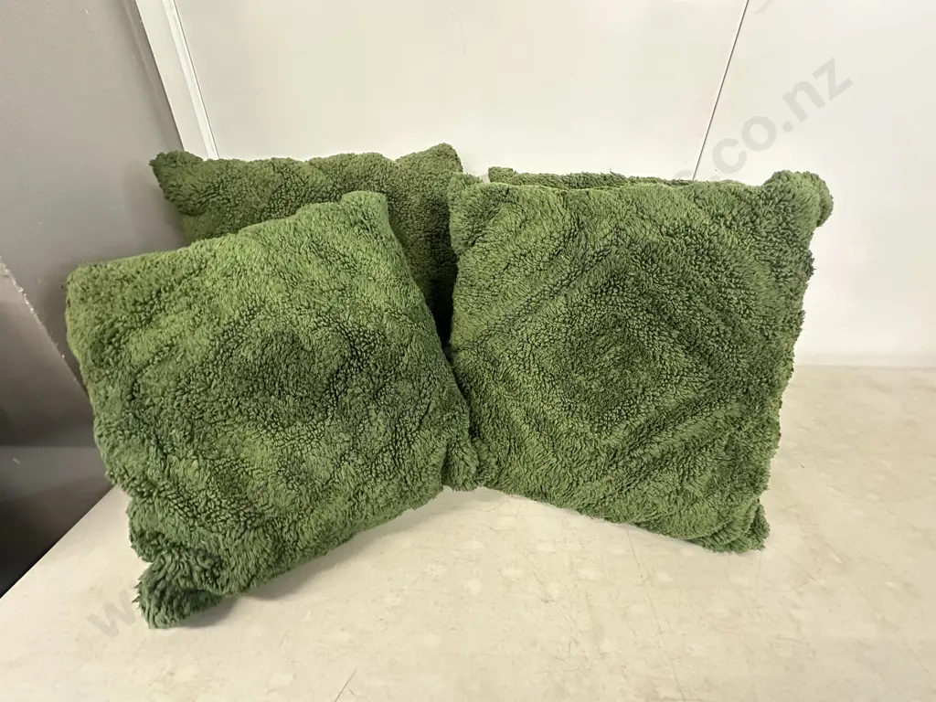 Green Cushions x4 Image 1++