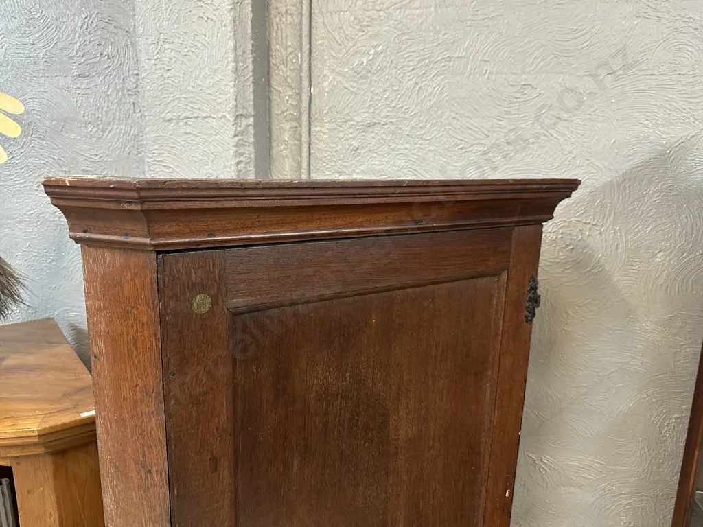 Antique Free Standing Oak Corner Cabinet Single Panel Door, Turned Legs With Key & BADA Label H170 W80 D53cm. Image 1++