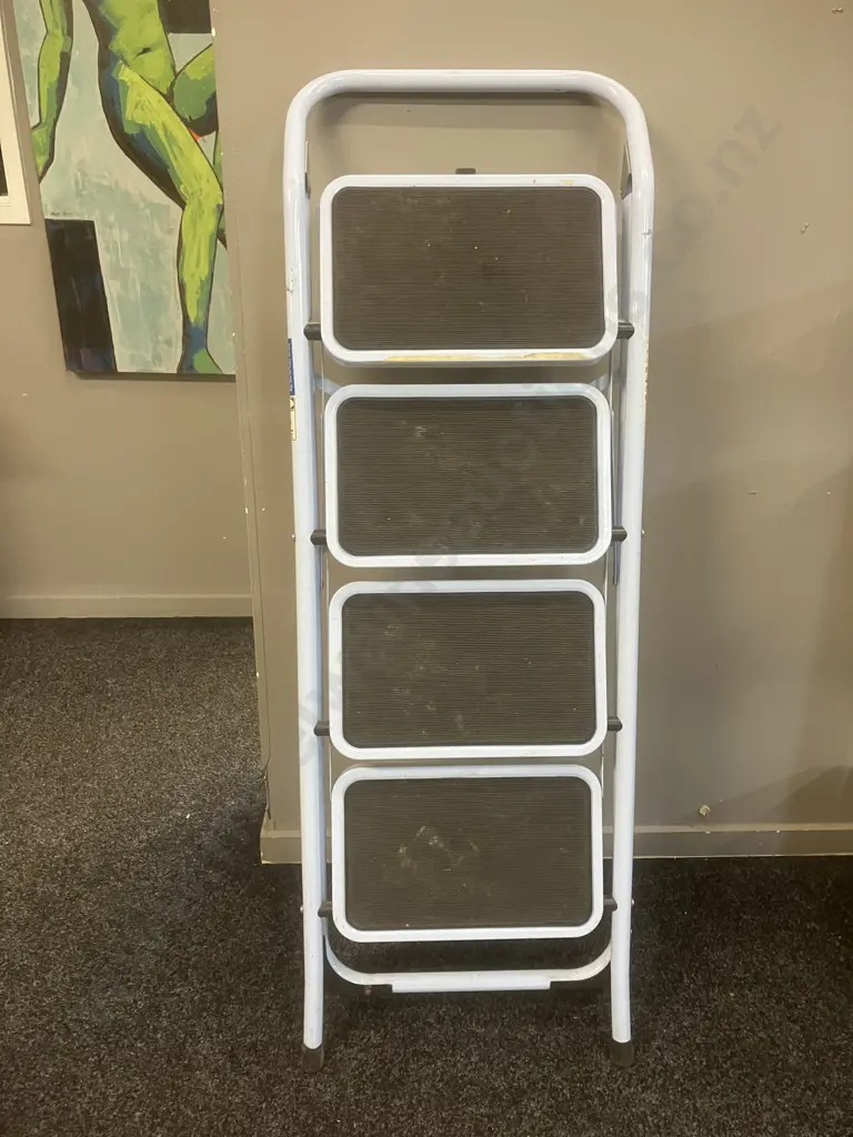 Domestic Stepladder. 120Kgs Image 1++