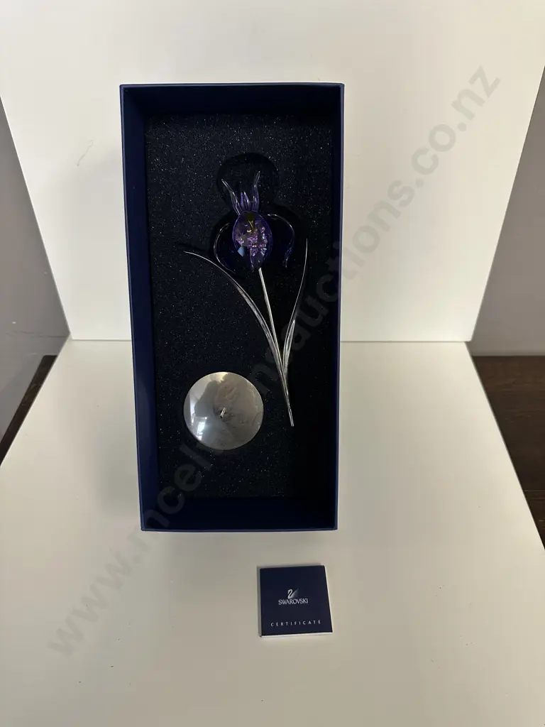 Swarovski Crystal Paradise Flowers - Damboa Blue Violet #848449 Exotic Flowers Collection (2006-2010), (Boxed With COA) Image 1++