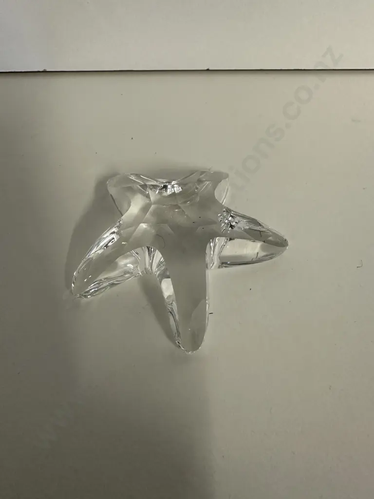 Swarovski Crystal 2005 SCS Joining / Renewal Gift - Starfish  #679350 (Boxed) Image 1++
