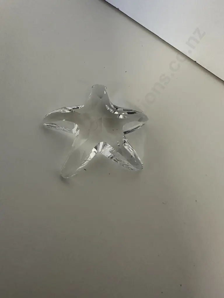Swarovski Crystal 2005 SCS Joining / Renewal Gift - Starfish  #679350 (Boxed) Image 1++