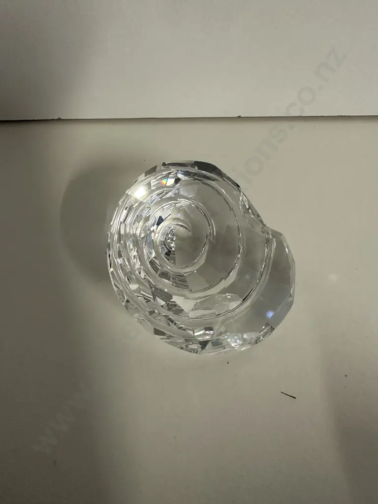Swarovski Crystal 2007 SCS Joining / Renewal Gift - Top Shell  #880693 (Boxed) Image 1++