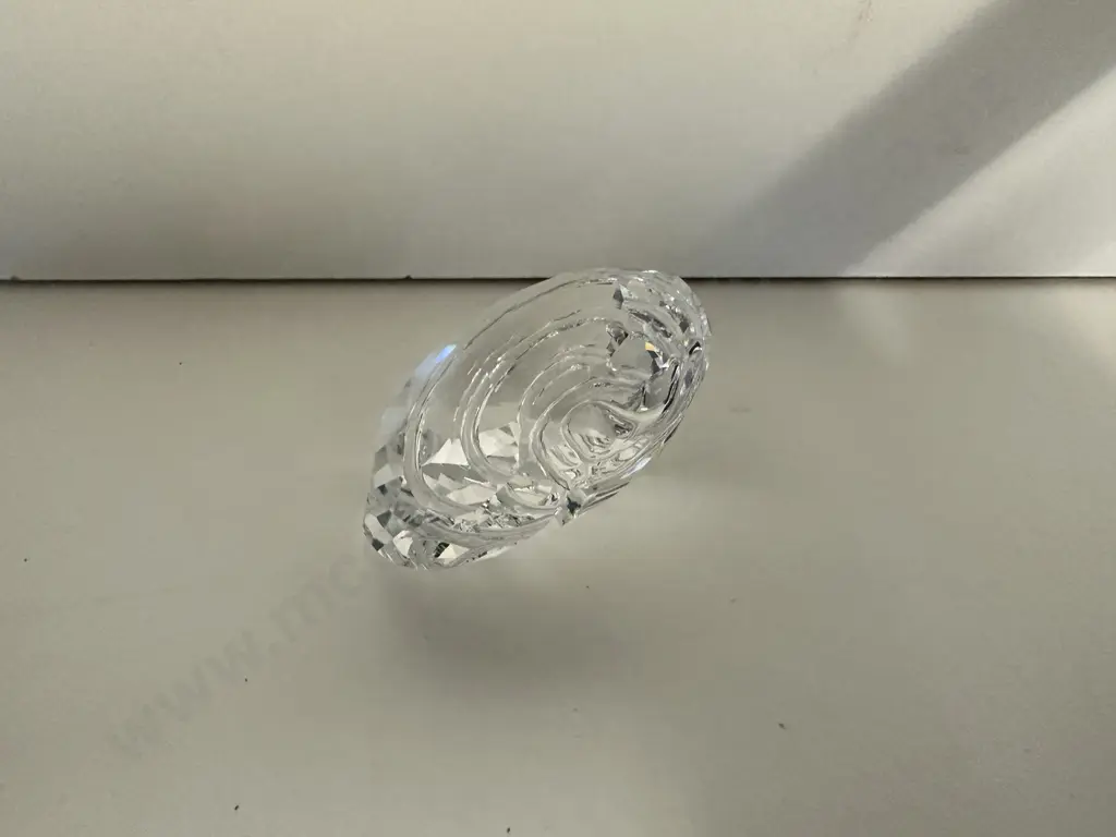 Swarovski Crystal 2007 SCS Joining / Renewal Gift - Top Shell  #880693 (Boxed) Image 1++