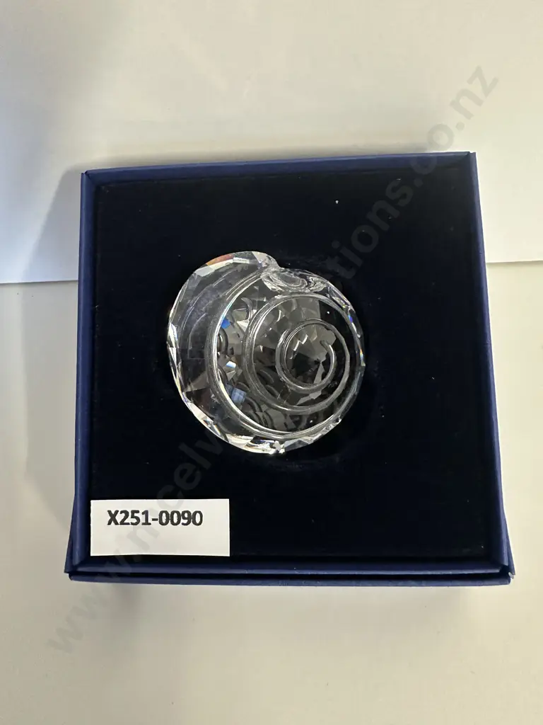 Swarovski Crystal 2007 SCS Joining / Renewal Gift - Top Shell  #880693 (Boxed) Image 1++