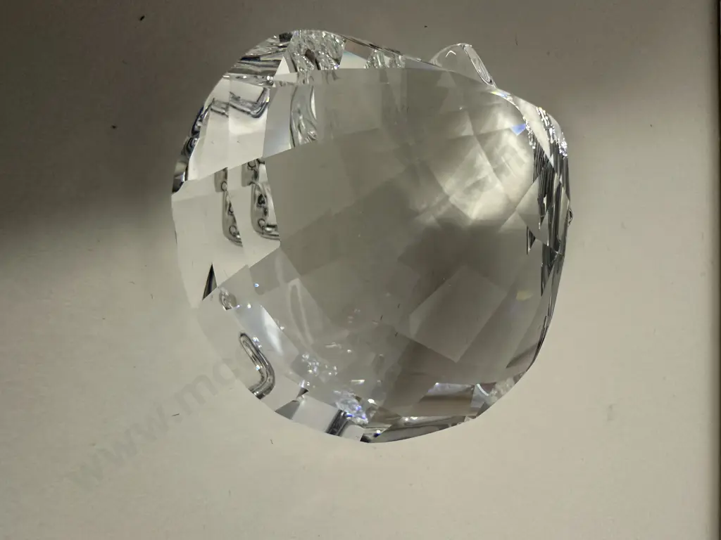Swarovski Crystal 2006 SCS Joining / Renewal Gift - Scallop  #833506 (Boxed) Image 1++