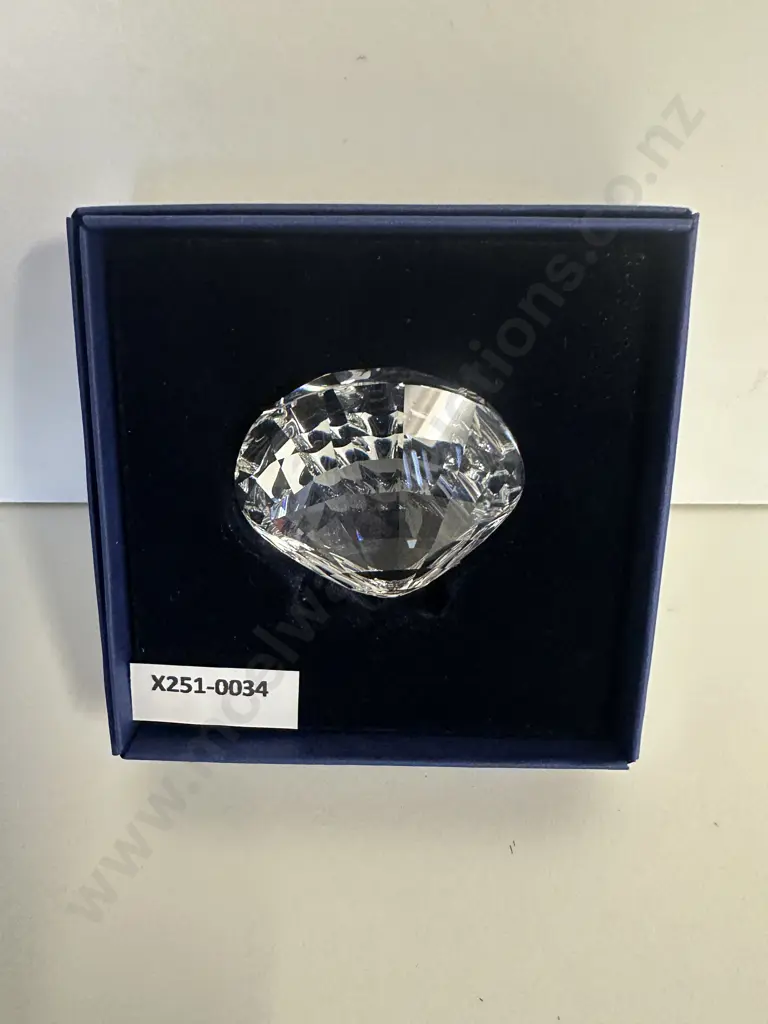 Swarovski Crystal 2006 SCS Joining / Renewal Gift - Scallop  #833506 (Boxed) Image 1++