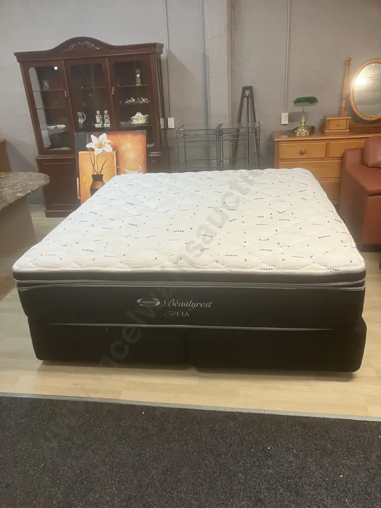 Simmons Beautyrest Beta Super King Bed Image 1++