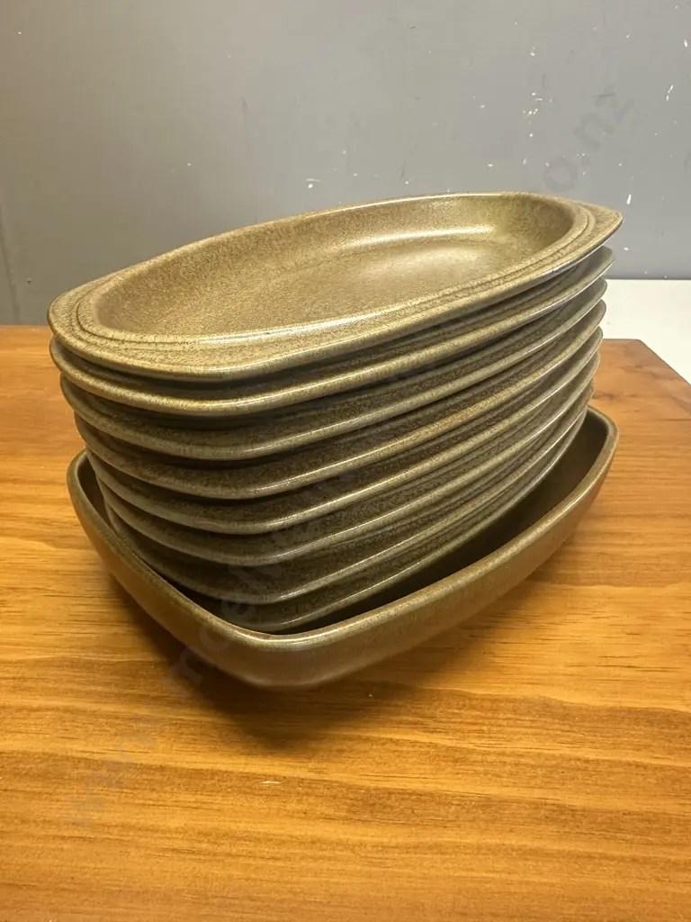Temuka Oval Entree Plates x8 & Serving Dish Image 1++