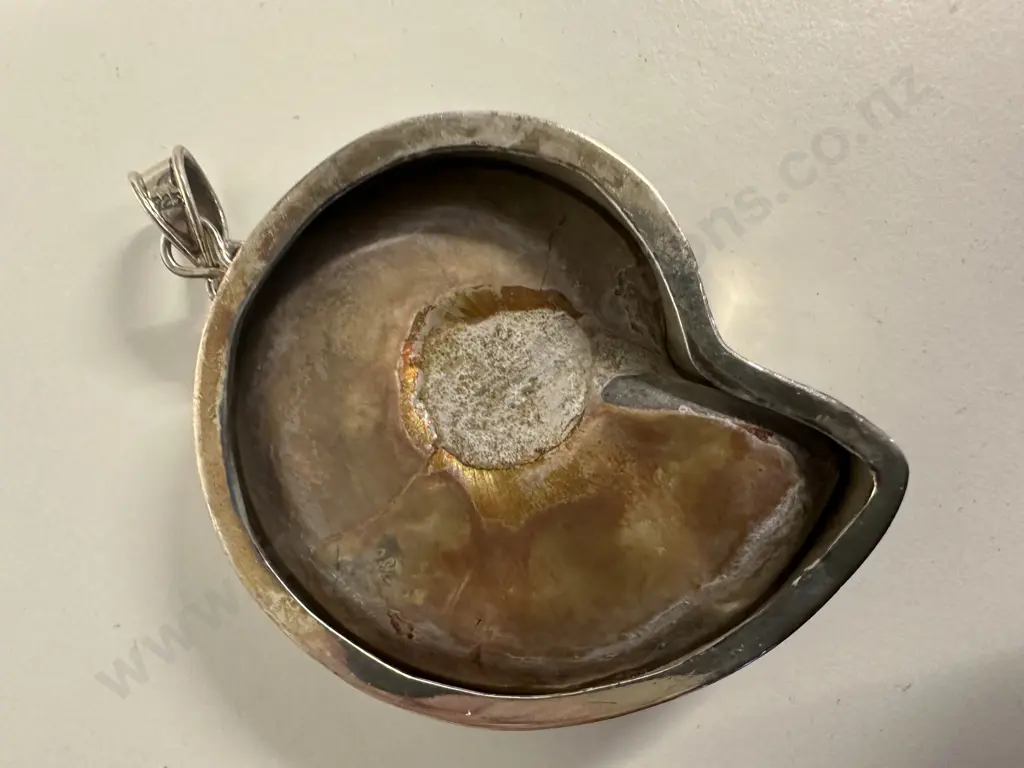 Stamped 925 Shell Pendant Image 1++