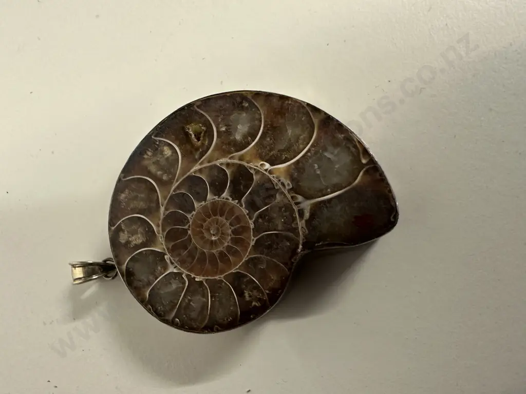Stamped 925 Shell Pendant Image 1++