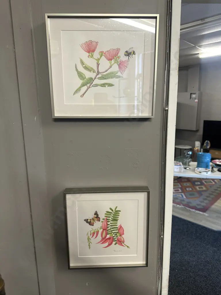 Framed Artwork Pohutukawa & Kaka Beak By C Receveur Image 1++