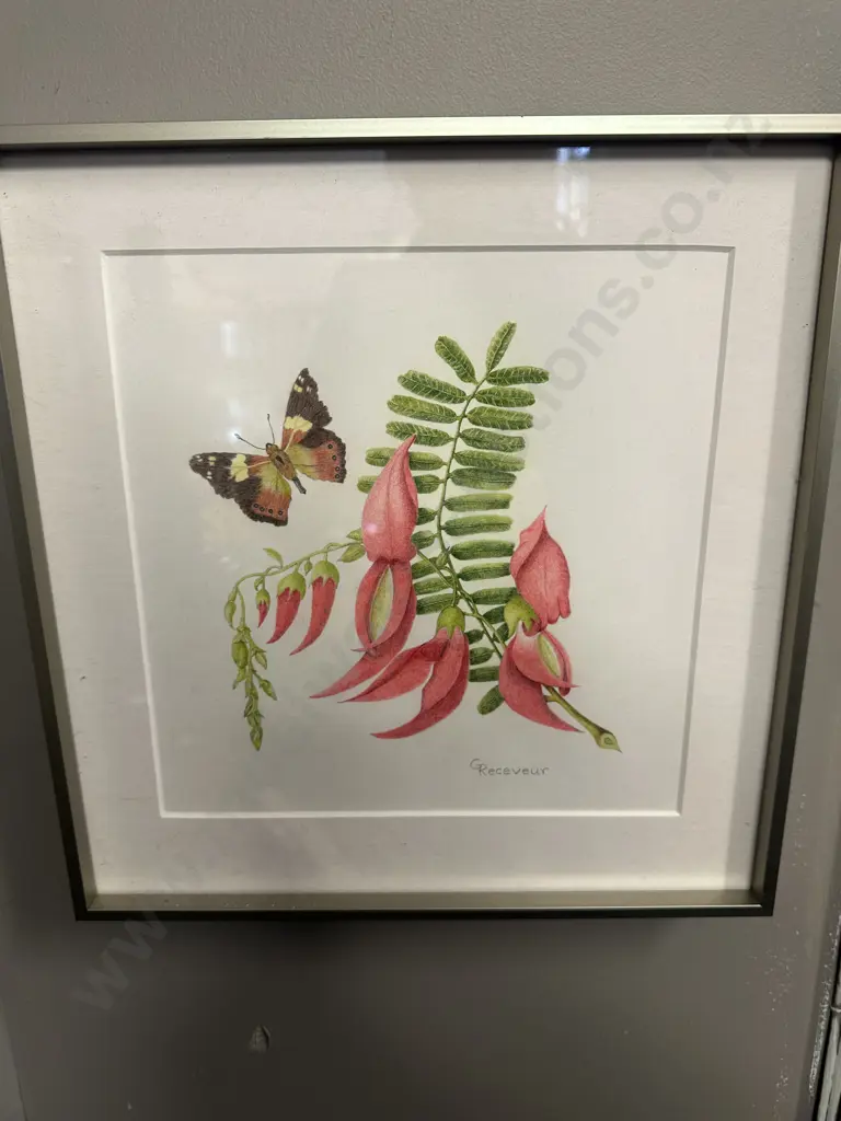 Framed Artwork Pohutukawa & Kaka Beak By C Receveur Image 1++
