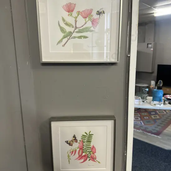 Framed Artwork Pohutukawa & Kaka Beak By C Receveur
