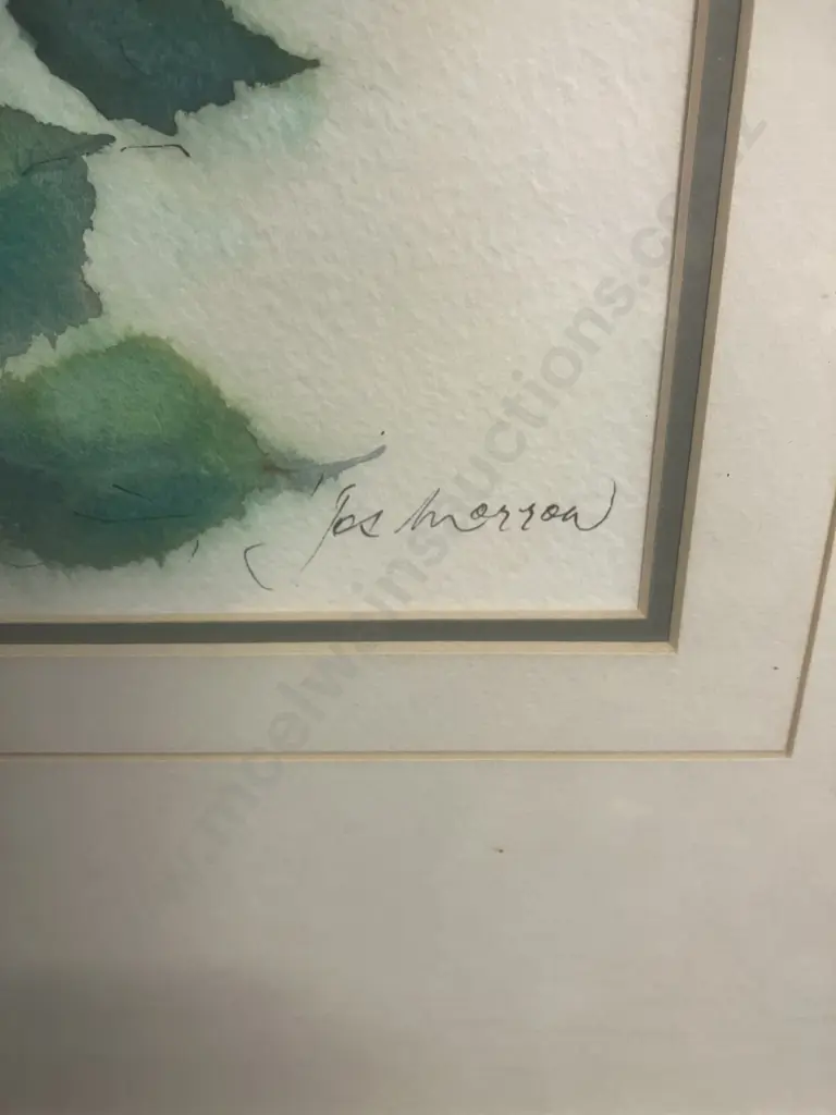 Jos Morrow - Roses Watercolour, Signed (Lower Right), 59 x 54cm Image 1++