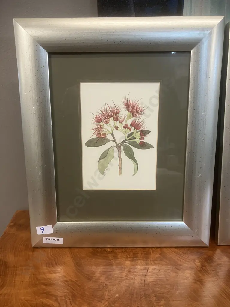 Jo Ewing New Zealand Fuchsia & Pohutukawa Flower Framed Prints. 32 x 28cm Image 1++