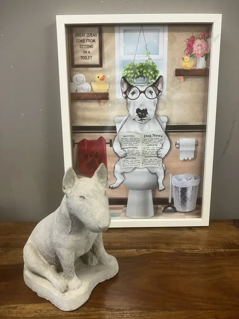 29 x 22cm Bull Terrier Concrete Figurine & Framed Poster Print 44 x 32cm Image 1++