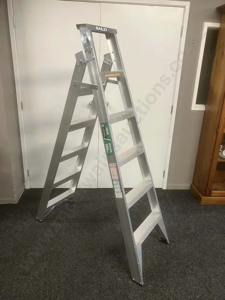 Bailey Trade Dual Purpose 6 Riveted 150Kg, .80m - 3.19m Image 1++