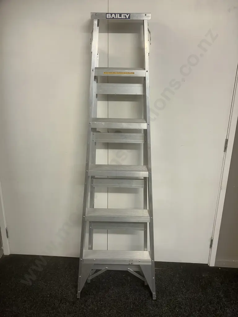 Bailey Trade Dual Purpose 6 Riveted 150Kg, .80m - 3.19m Image 1++