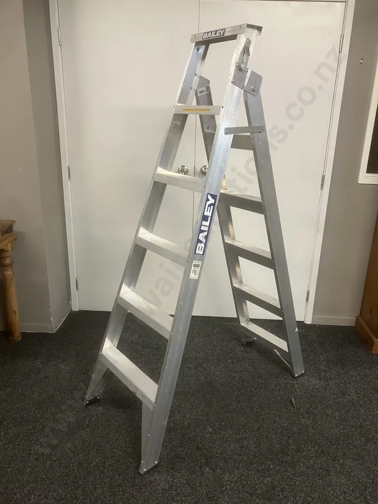 Bailey Trade Dual Purpose 6 Riveted 150Kg, .80m - 3.19m Image 1++